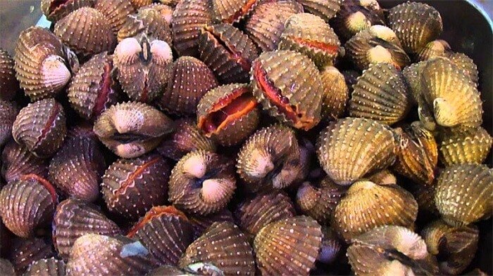 Sò huyết giàu giá trị dinh dưỡng