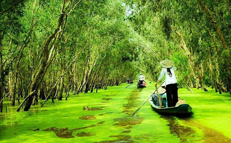 choi gi o ca mau